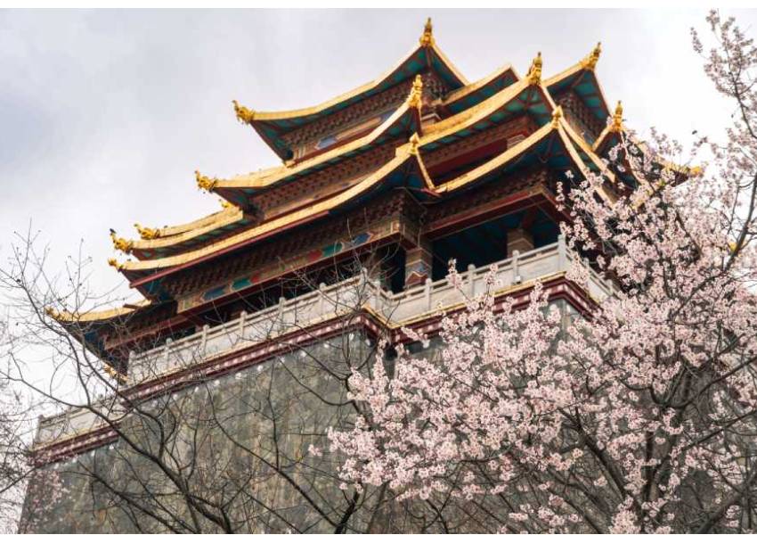 Templo chino rodeado de flores de durazno